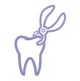 11 dental