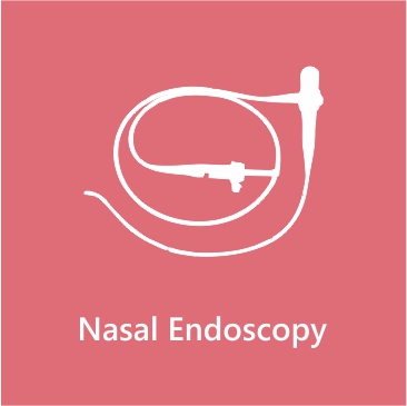 Nasal Endoscopy