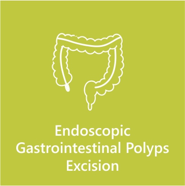 Endoscopic Gastrointestinal polyps excision