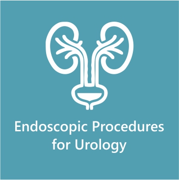 Endoscopic Procedures for Urology