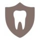 dental protection