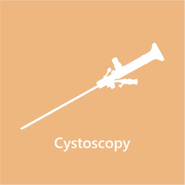 Cystoscopy