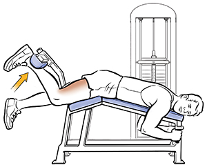 Hamstring Curls