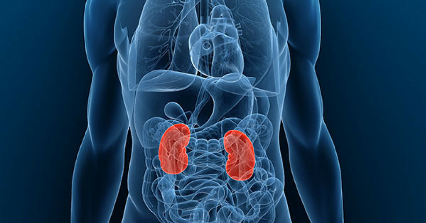 Chronic Kidney Disease symptoms