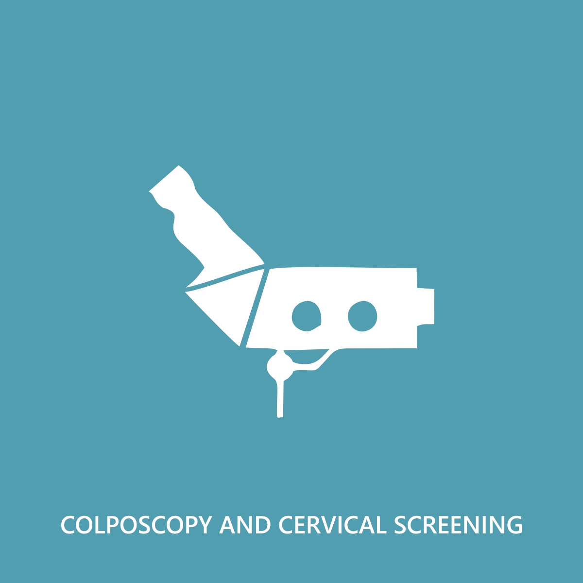 COLPOSCOPY AND CERVICAL SCREENING Image