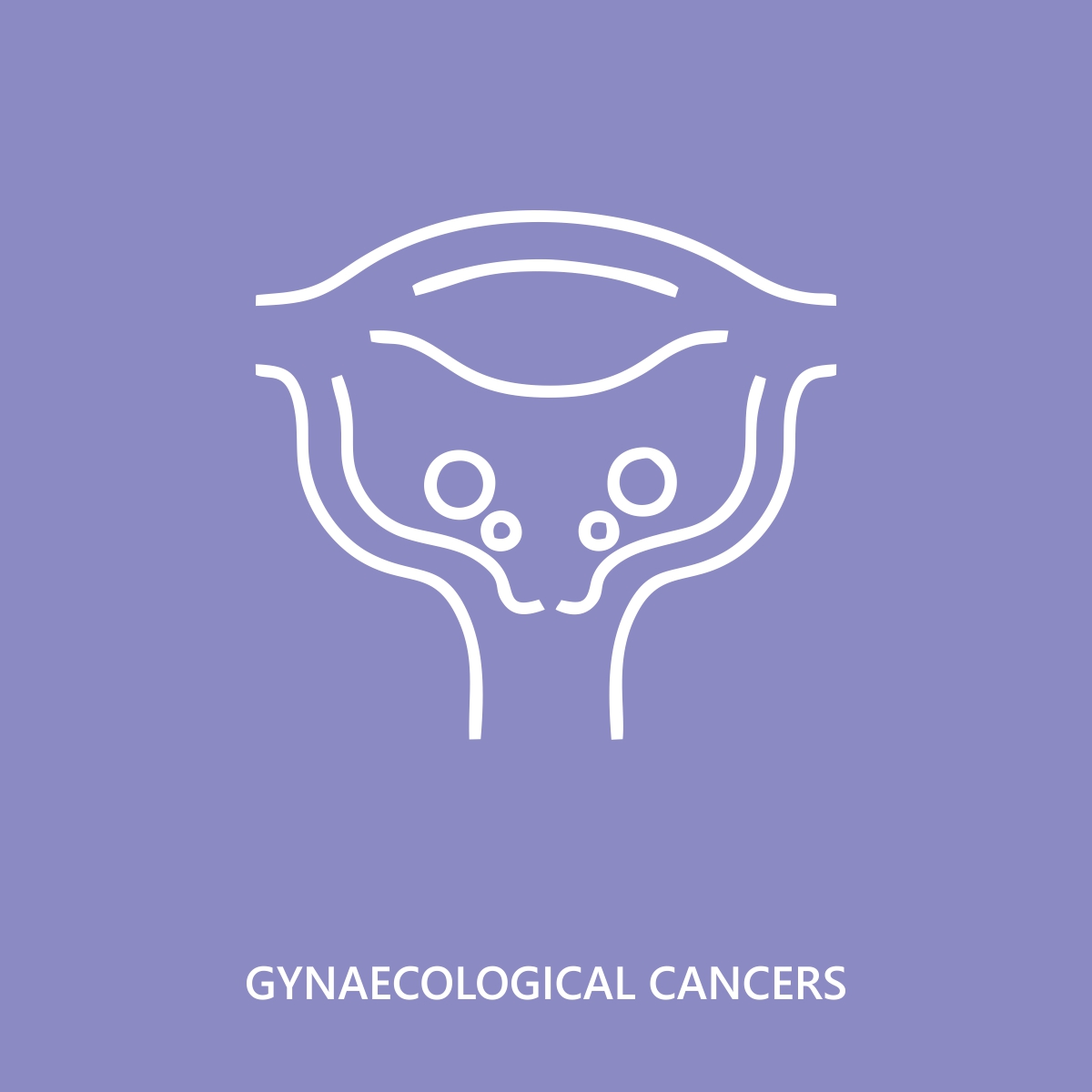 GYNAECOLOGICAL CANCERS Image