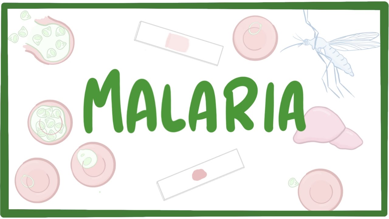 Malaria