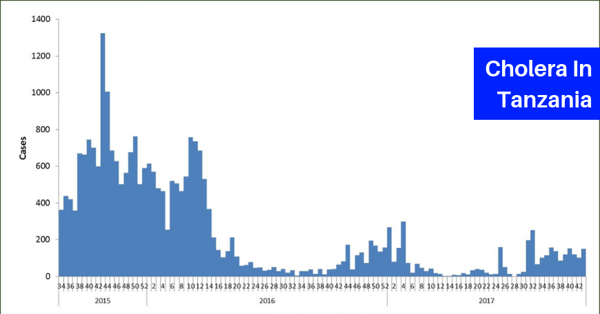 Cholera in Tanzania