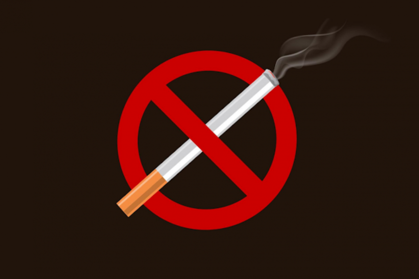 Smoking And Bladder Cancer at Mildred Adams blog