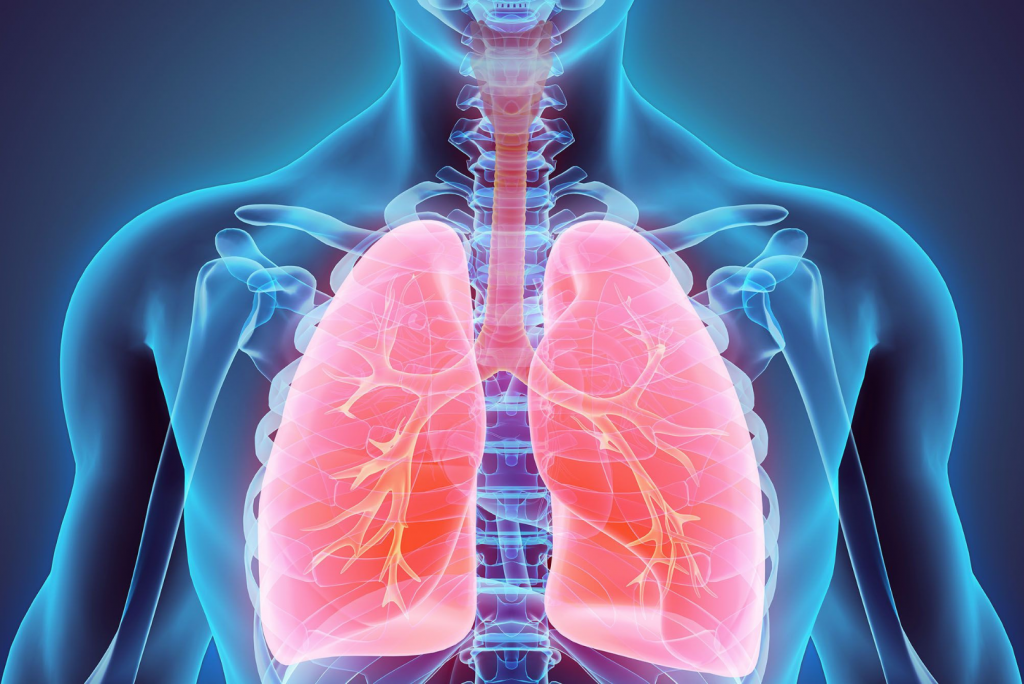 What is Lung Detox