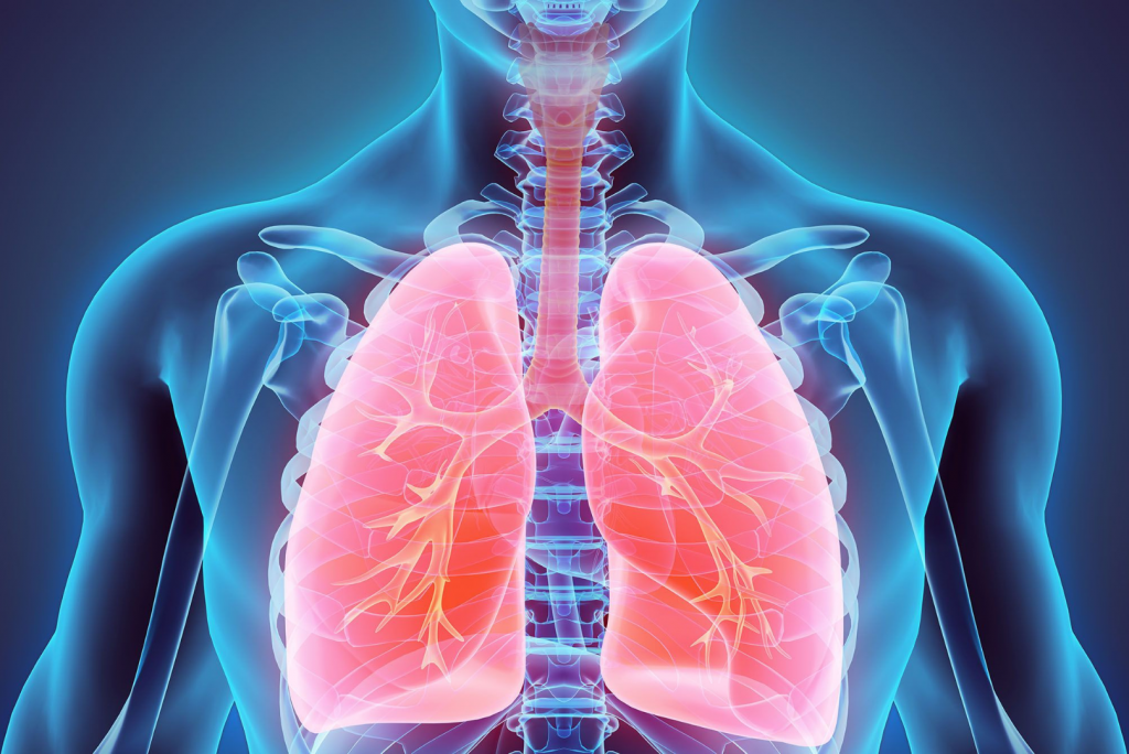 Lung Detox: 7 Effective Ways to Cleanse Your Lungs - Regency Medical Centre