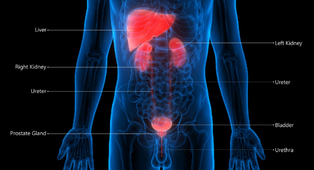 Urothelial Carcinoma