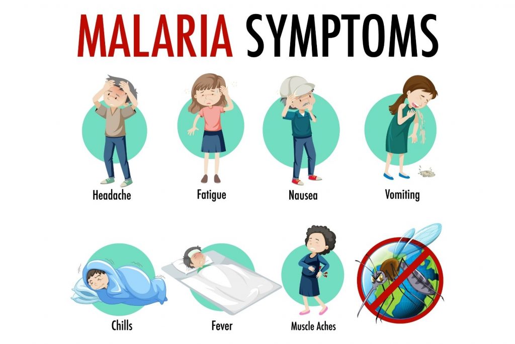 Malaria Symptoms