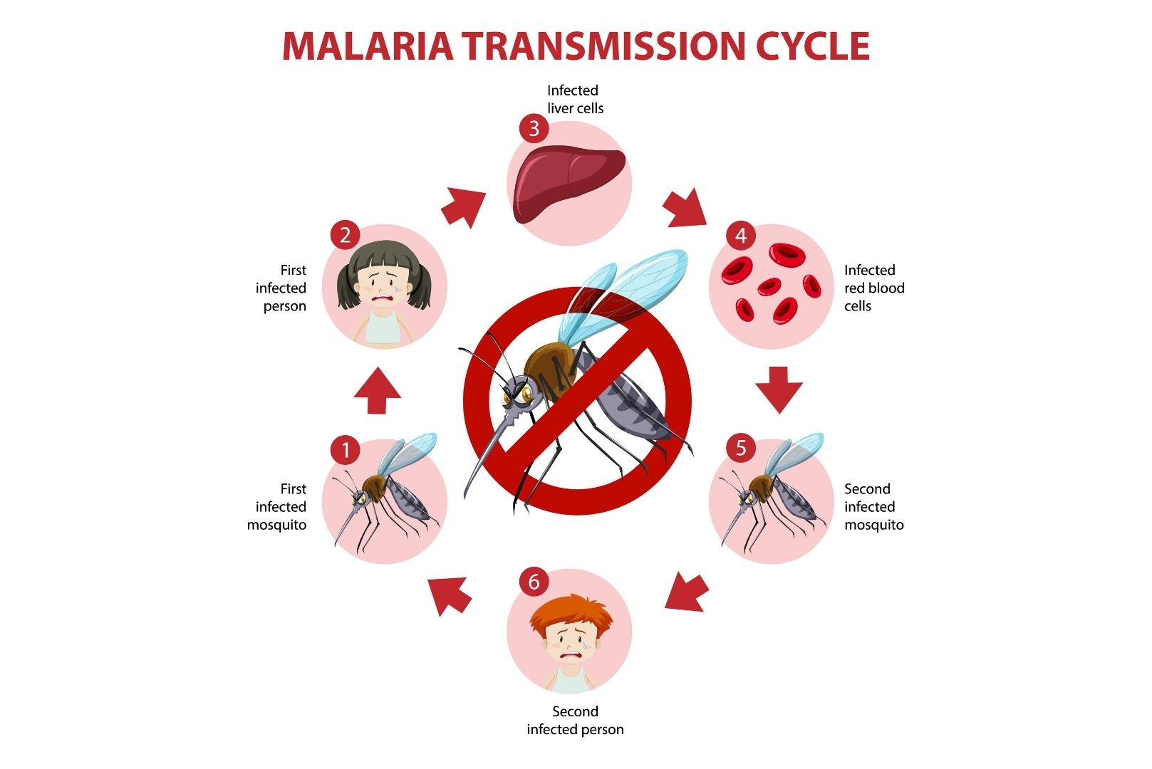 malaria cause and effect essay